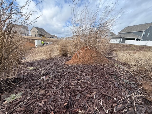 Pre-Spring Inspection and Assessment
